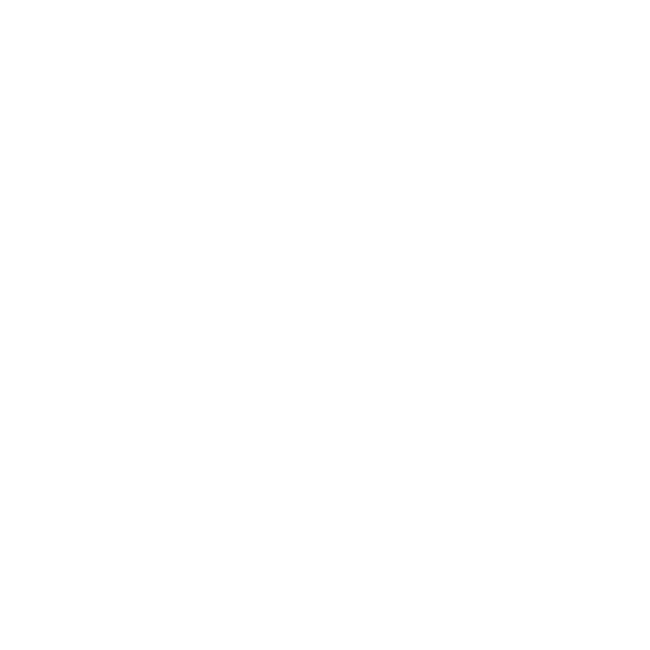 Play Icon